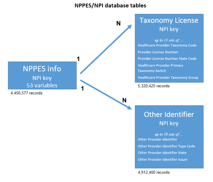 NPI Database Tables (new)