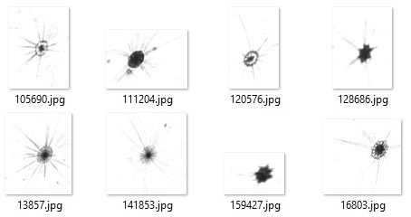 Sample Plankton Training Images